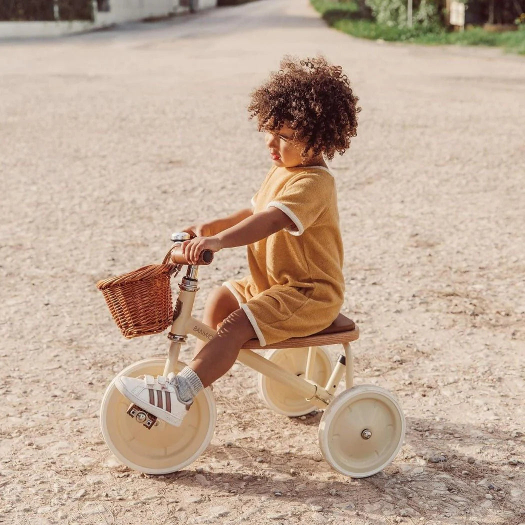 Banwood Trike with Basket