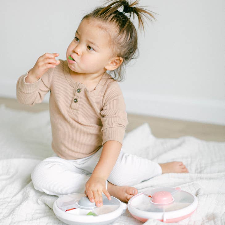 Snack Spinner - Blue, Purple, Pink, Green