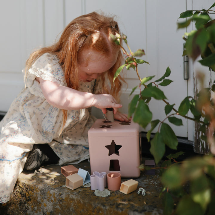 Shape Sorting Box Baby Toy