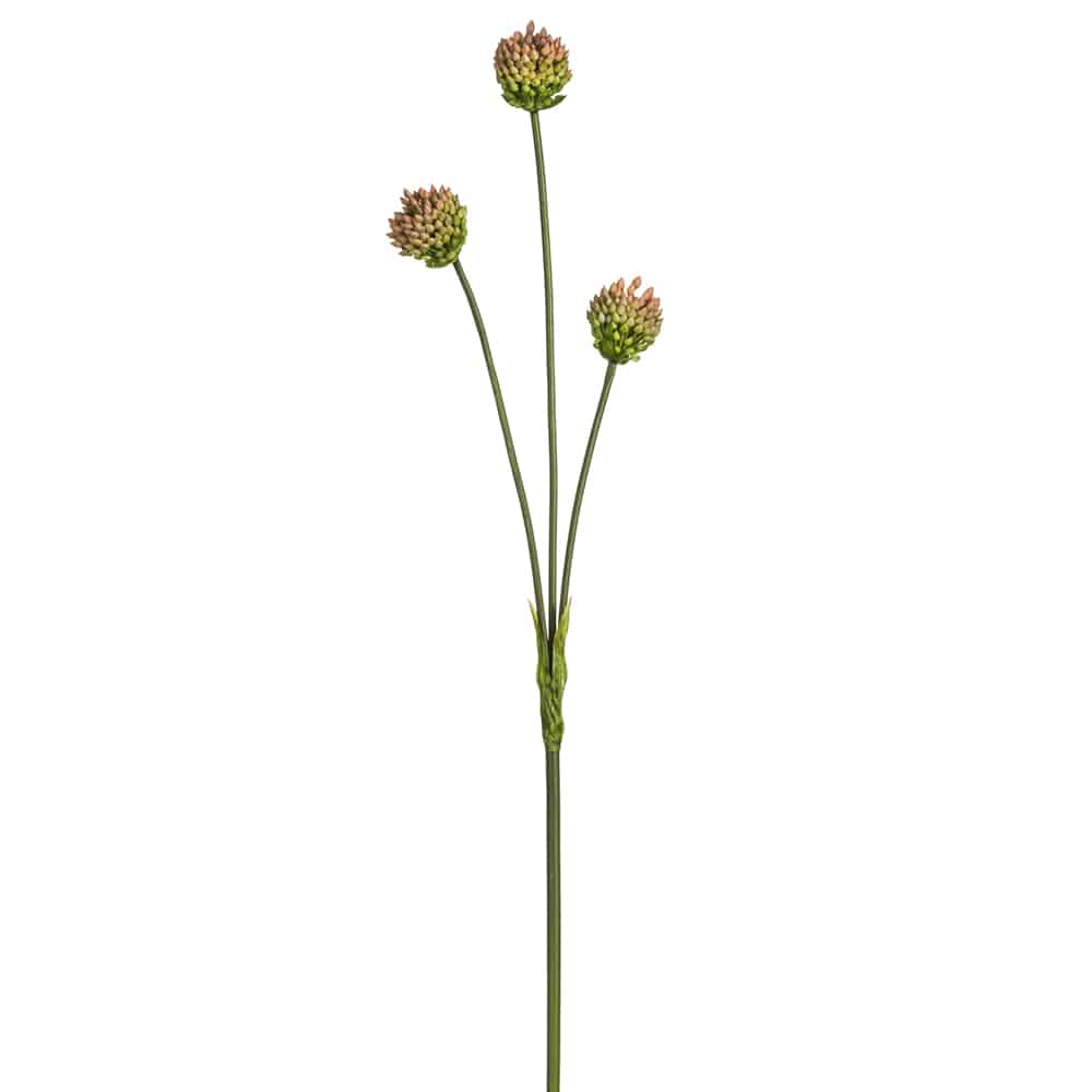 Allium Spray Mauve Green | 27"