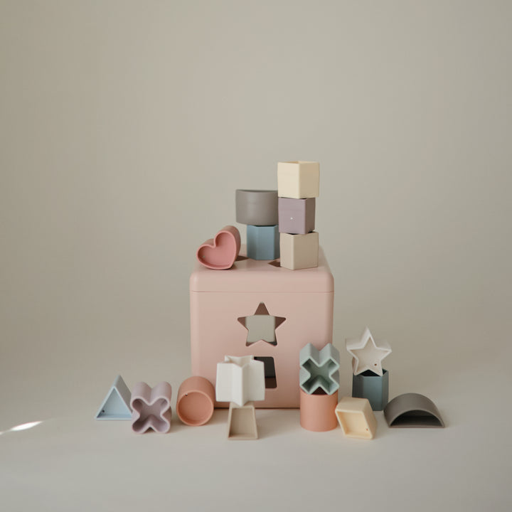 Shape Sorting Box Baby Toy