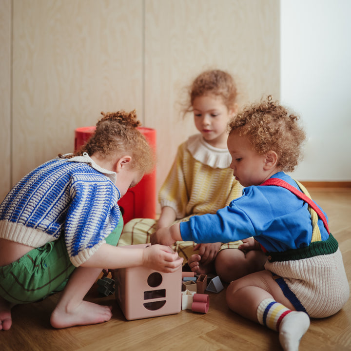 Shape Sorting Box Baby Toy