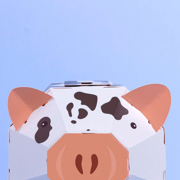 Create Your Own Piggy Bank