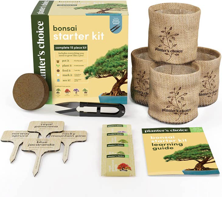 Bonsai Starter Kit - Grow Your Own Bonsai Tree