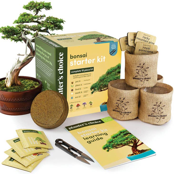 Bonsai Starter Kit - Grow Your Own Bonsai Tree